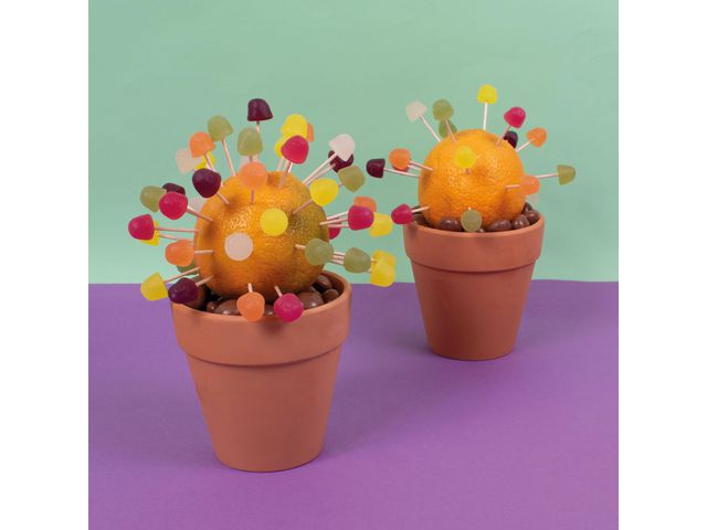 Terrakottakrukor 10cm 10/fp