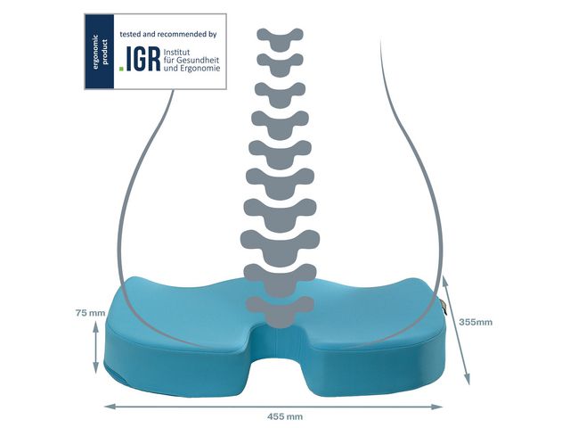 Sittkudde LEITZ Ergo Cosy blå