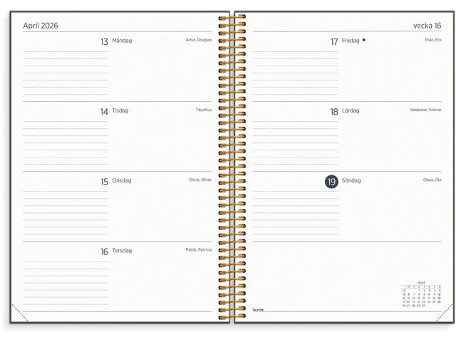 Kalender Organizer & Notes 25/26 grön