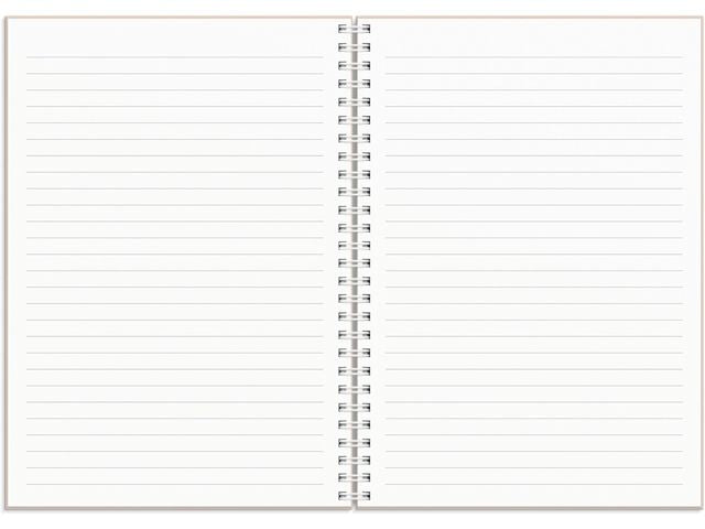 Kalender Plan more A5 25/26