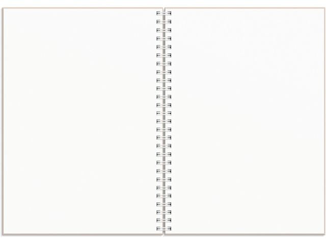 Kalender Plan more A5 25/26