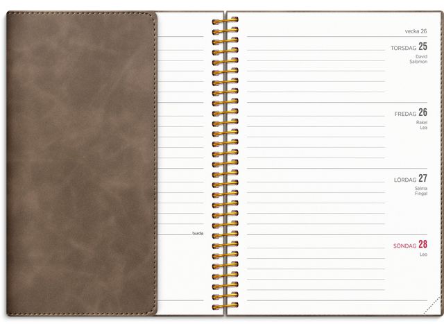 Kalender Senator Vega A5 25/26