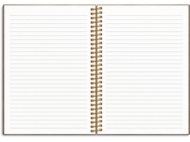 Kalender Senator Vega A5 25/26