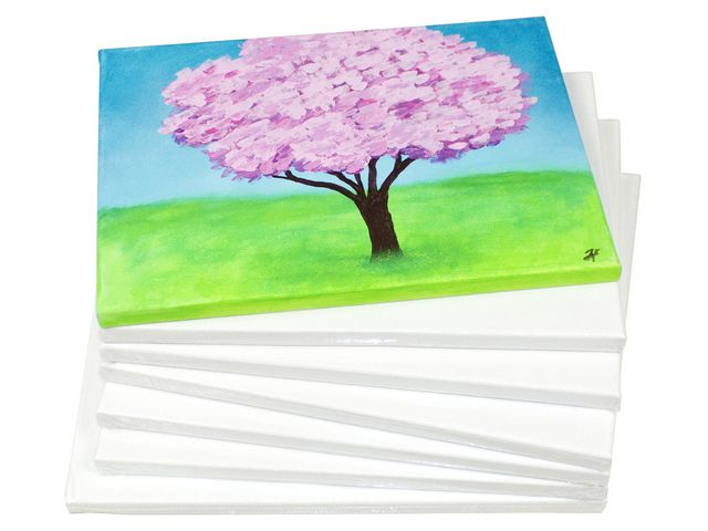 Målarduk 90x120x3,7 cm