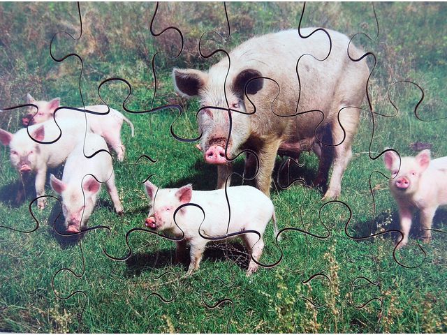 Pussel bondgårdsdjur 8 olika pussel