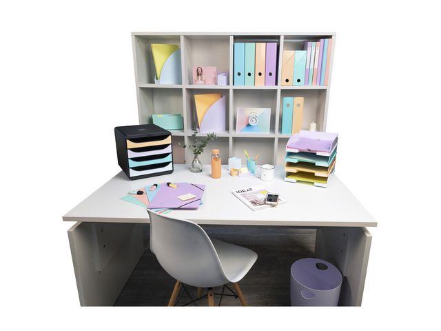 Blankettbox EXACOMPTA BIGBOX 4 låd paste