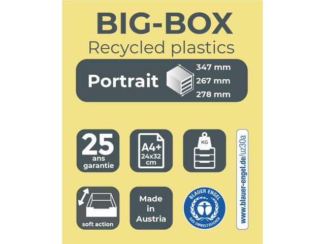 Blankettbox EXACOMPTA BIGBOX 4 låd paste