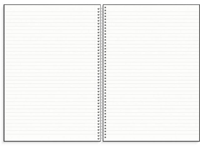 Anteckningsbok BURDE A4 black