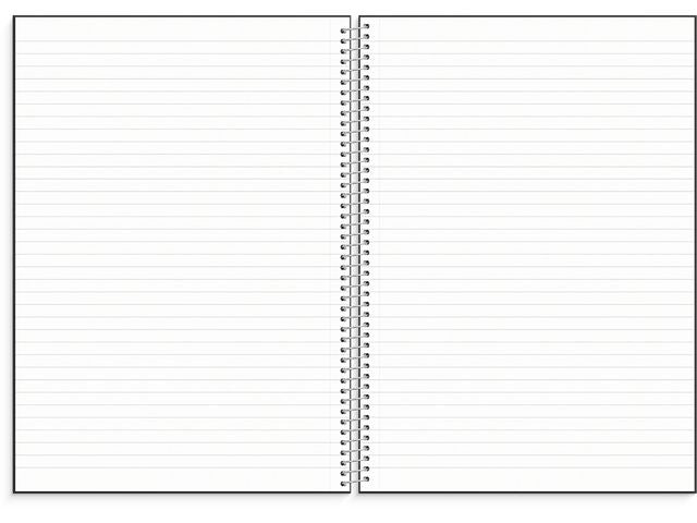 Anteckningsbok BURDE A4 black