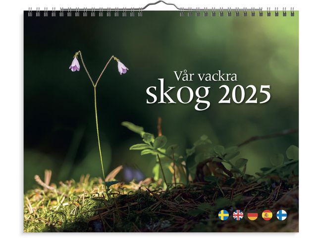 Väggkalender Vår vackra skog 2025