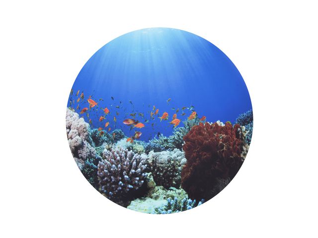 Sensoriska lekmatta till ljusbord havet