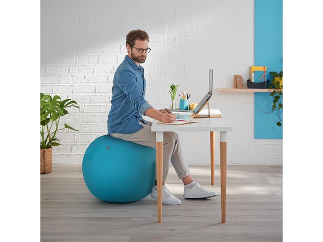 Sittboll LEITZ Ergo Cosy Aktiv blå