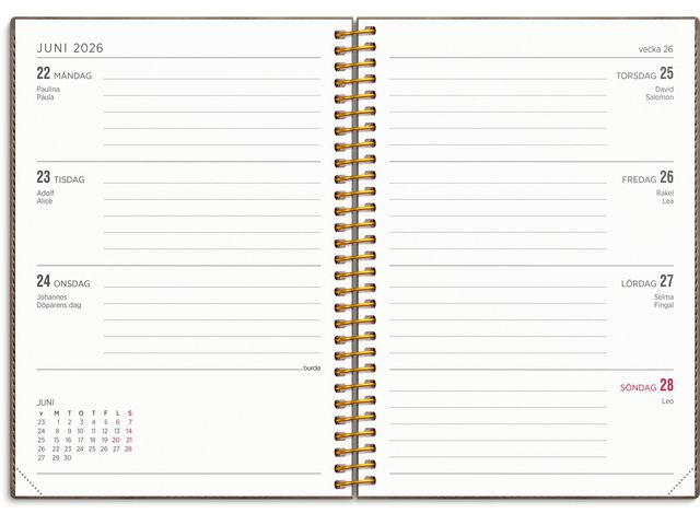 Kalender Senator Vega A5 25/26