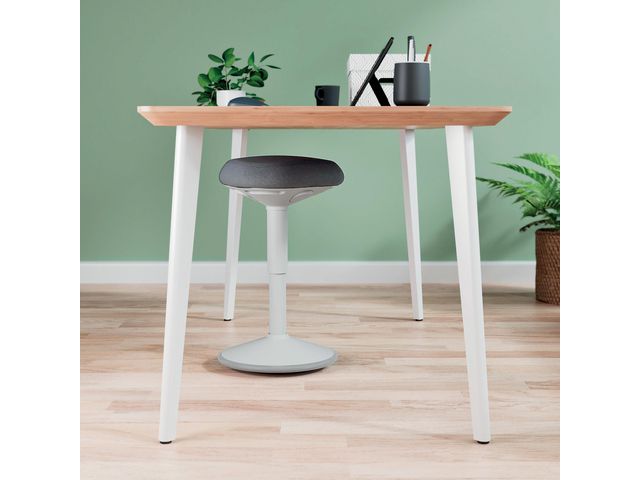 Sittpall LEITZ Ergo ljusgrå