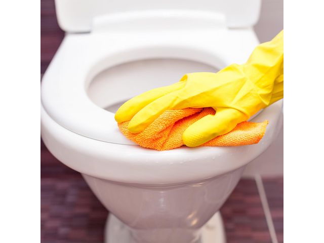 Toasitsdesinfektion TORK Pre S2 475ml