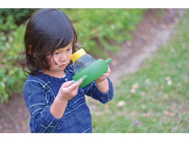 Insektstittare två-vägs 4x6x