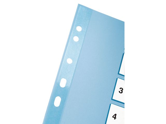 Kartongregister m. plastfl. A4 1-12 färg