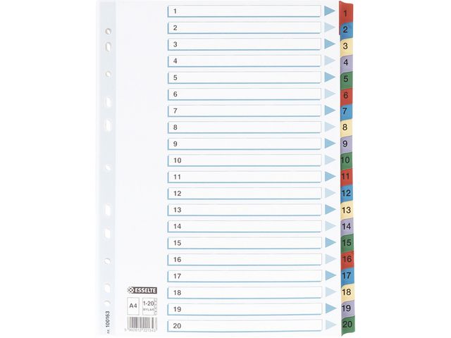 Kartongregister m. plastfl. A4 1-20 färg