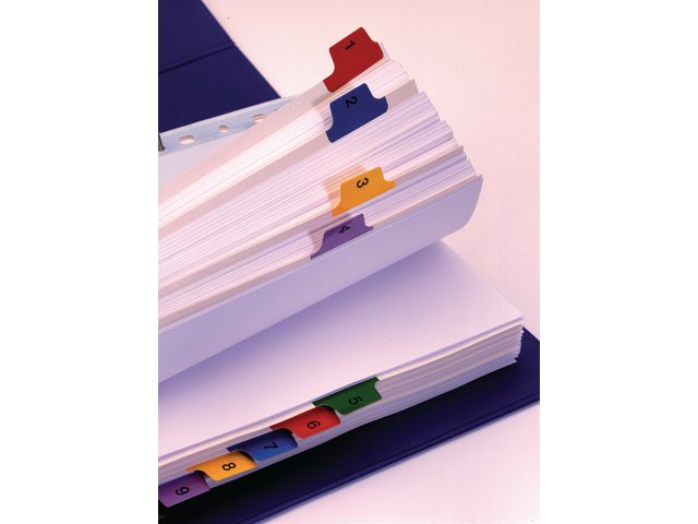 Kartongregister m. plastfl. A4 1-12 färg