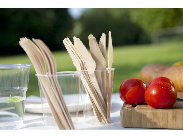 Bestick Kniv PURE FSC 16,5cm 100/fp