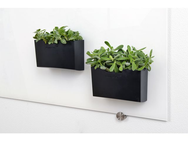 Tillbehörsbox glastavla svart