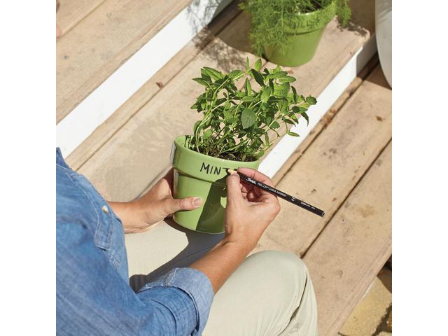 Märkpenna vax SHARPIE China svart