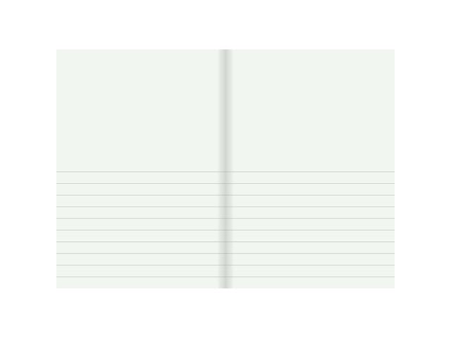 Skrivhäfte A4 1/2 sida linj. 14,5mm blå