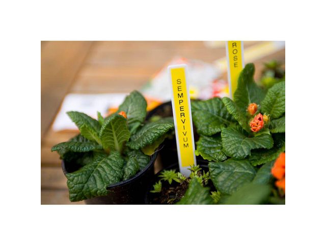 Tape BROTHER TZE631 12mm svart på gul