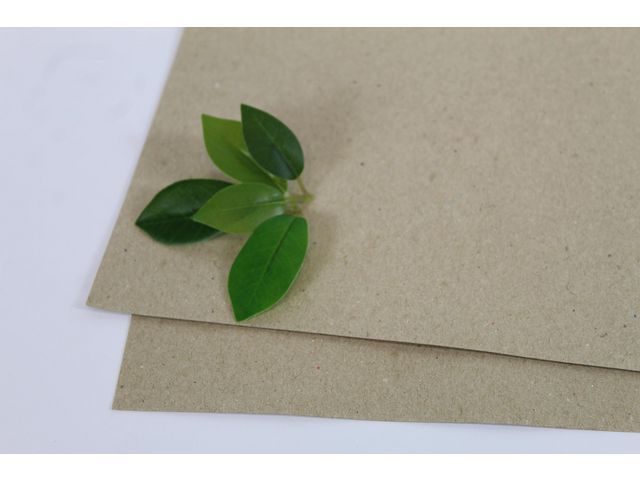 Växtpresspapper 400x470mm 180g 250/fp