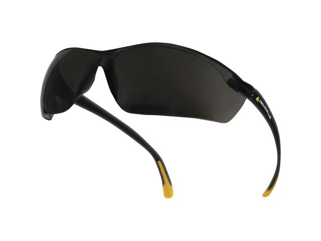 Skyddsglasögon DELTA PLUS Meia grå