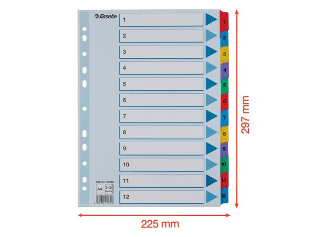 Kartongregister m. plastfl. A4 1-12 färg