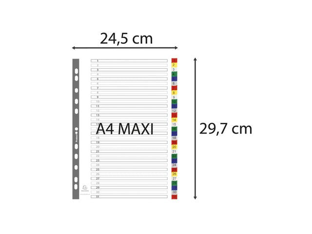 Plastregister EXACOMPTA PP A4+ 1-31 f.f