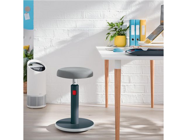 Sitta-Stå Balansstol LEITZ Ergo Cosy