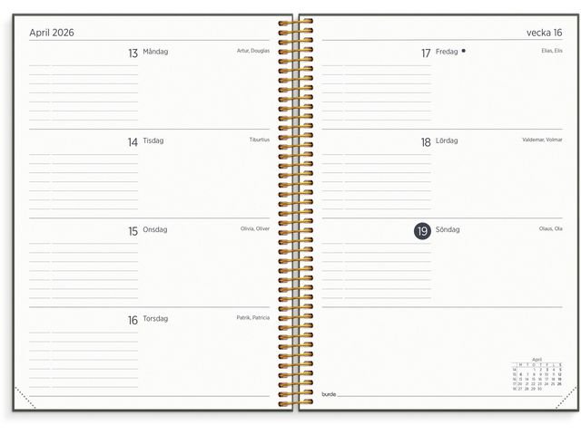 Kalender Organizer & Notes 25/26 grön