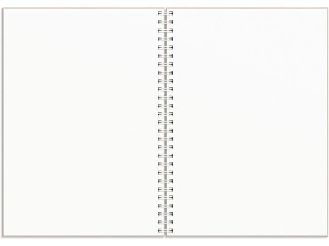 Kalender Plan more A5 25/26