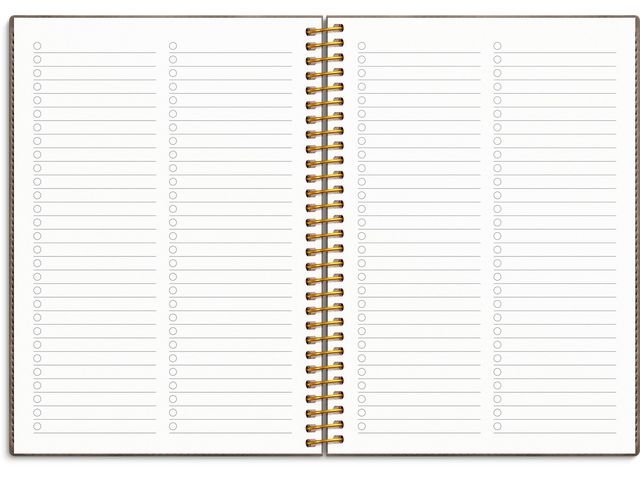 Kalender Senator Vega A5 25/26