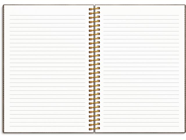 Kalender Senator Vega A5 25/26