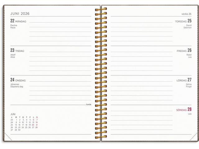 Kalender Senator Vega A5 25/26