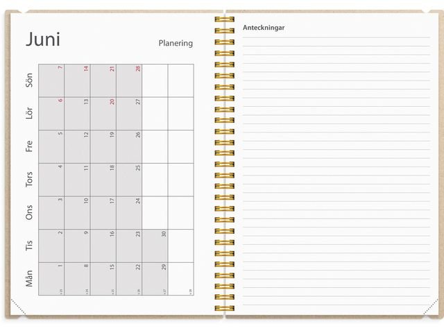 Kalender Study Story Rand A5 25/26