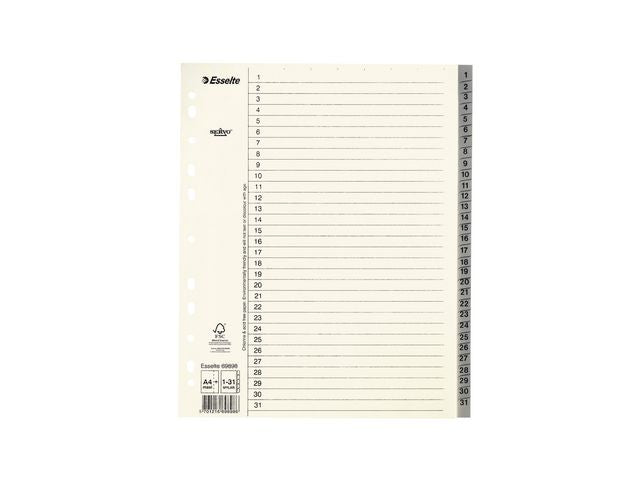 Pappregister Servo System A4+ 1 - 31 grå