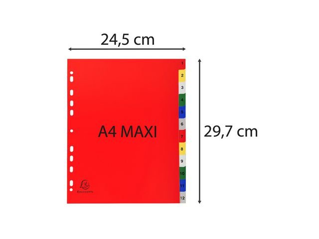 Plastregister EXACOMPTA PP A4+ 1 - 12 f.f
