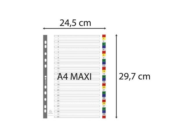 Plastregister EXACOMPTA PP A4+ 1 - 31 f.f