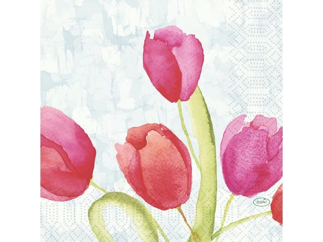 Servett Tulips 3 - lags 33X33cm 50/fp