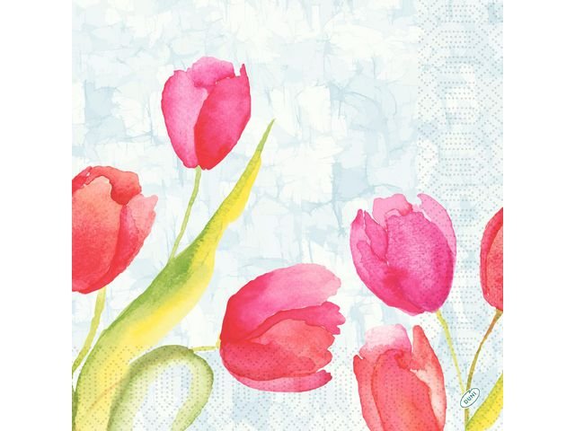 Servett Tulips 3 - lags 40X40cm 250/fp