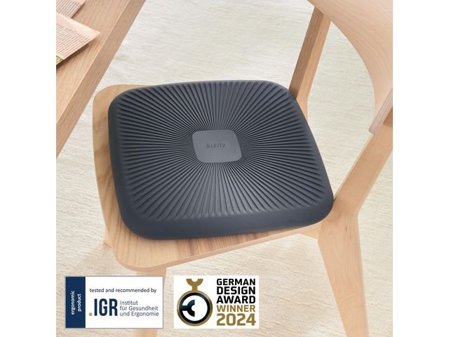 Sittkudde LEITZ Ergo Aktiv Wobble mgrå