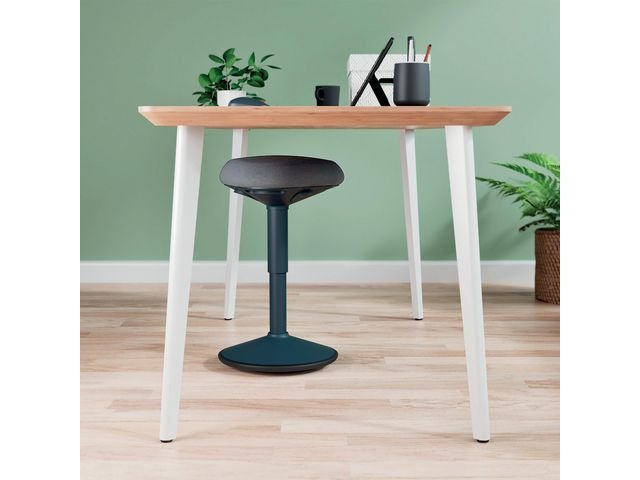 Sittpall LEITZ Ergo mörkgrå