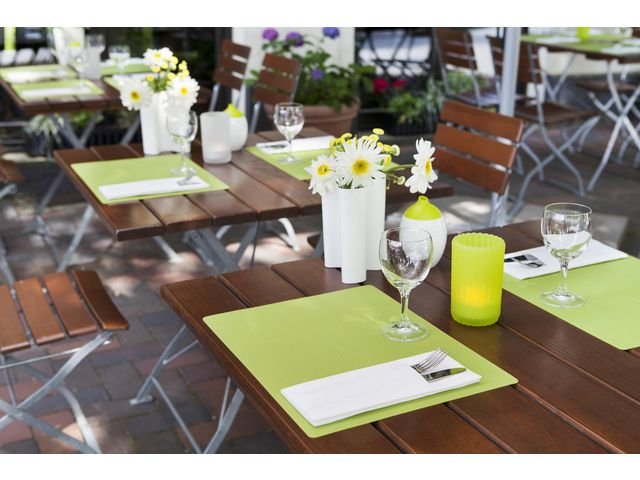 Tablett DUNI Silikon 30x45cm kiwi 6/fp