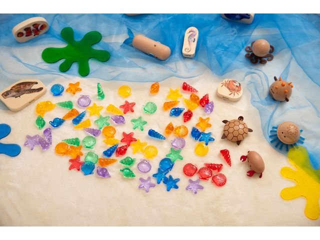 Transparent räkna sortera snäckor 72/fp