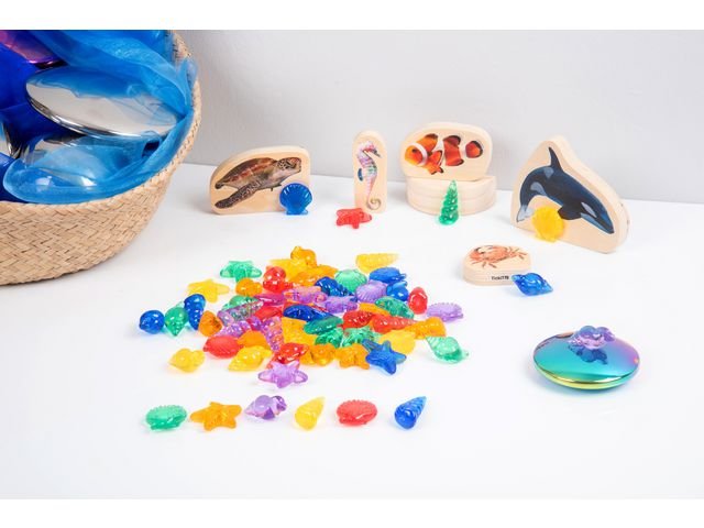 Transparent räkna sortera snäckor 72/fp