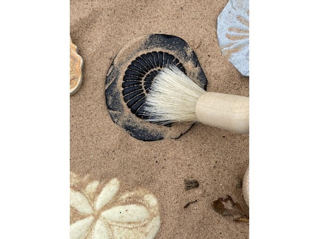 Undersök Fossilier av sten 8/fp